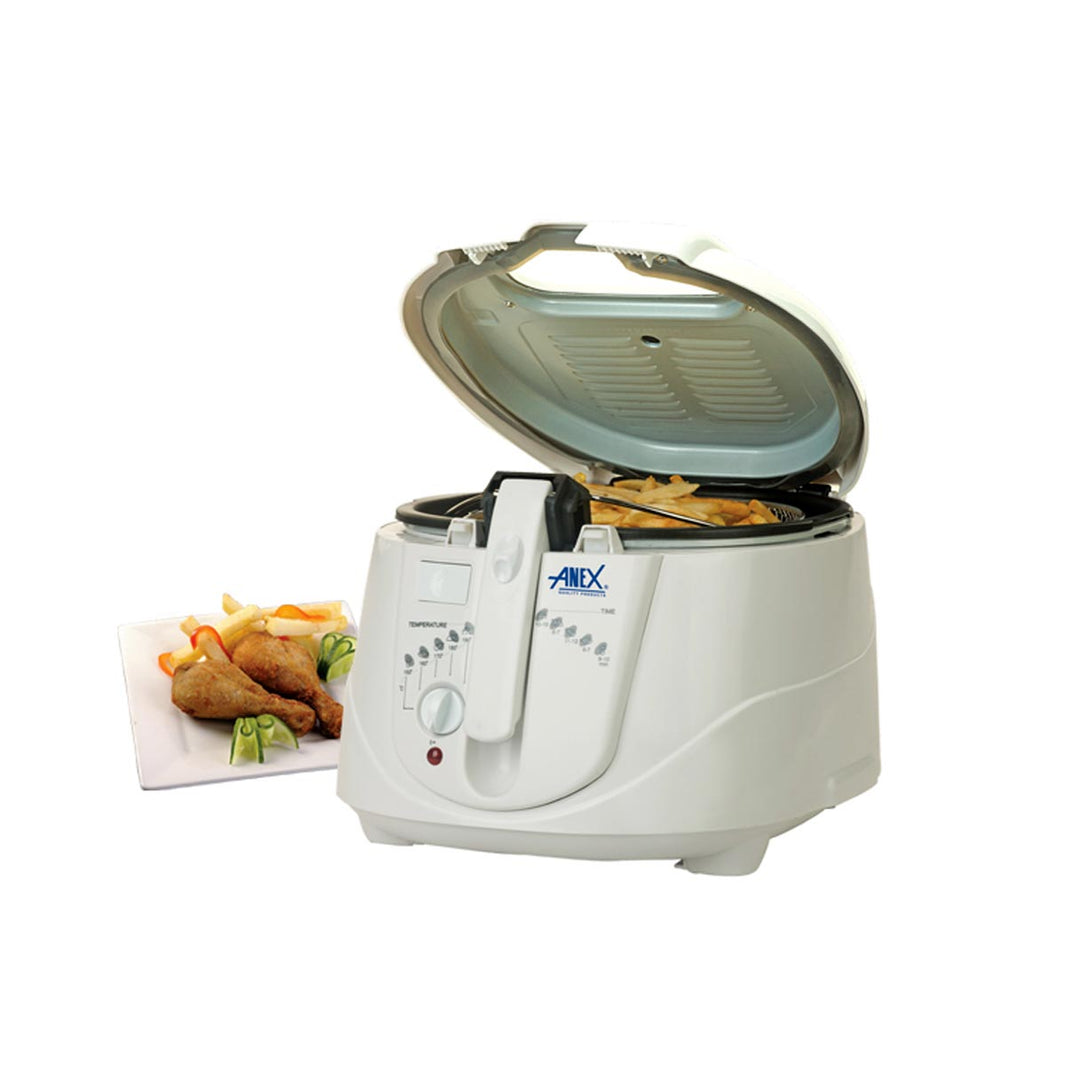 Anex 2012 Deep Fryer Your Culinary Deep Frying Partner Electro Gas